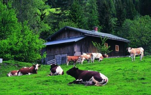 2025，中国乳业能否触底反弹？